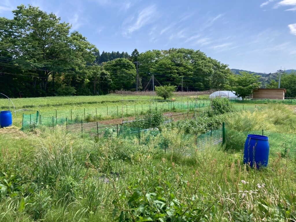 MUJI_FARMの景色