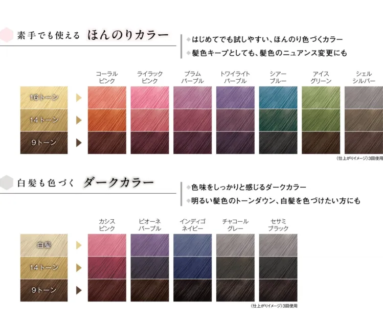 カラーバリエーション