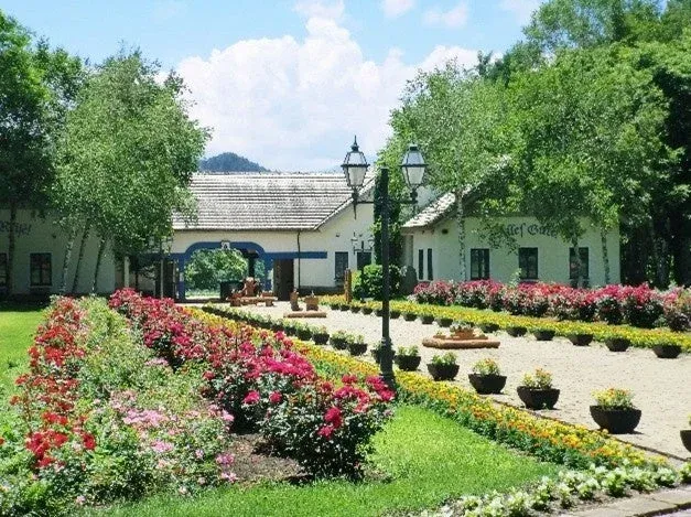 チロルの森の美しい庭園