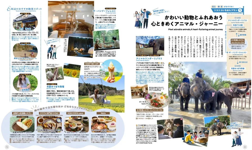 千葉県市原市周辺の観光情報を紹介。象やヤギとのふれあい、乗馬、グランピング、果物狩りなど、自然と動物を満喫できるアクティビティが豊富。道の駅や地元グルメ、スイーツも楽しめる旅行プランです。