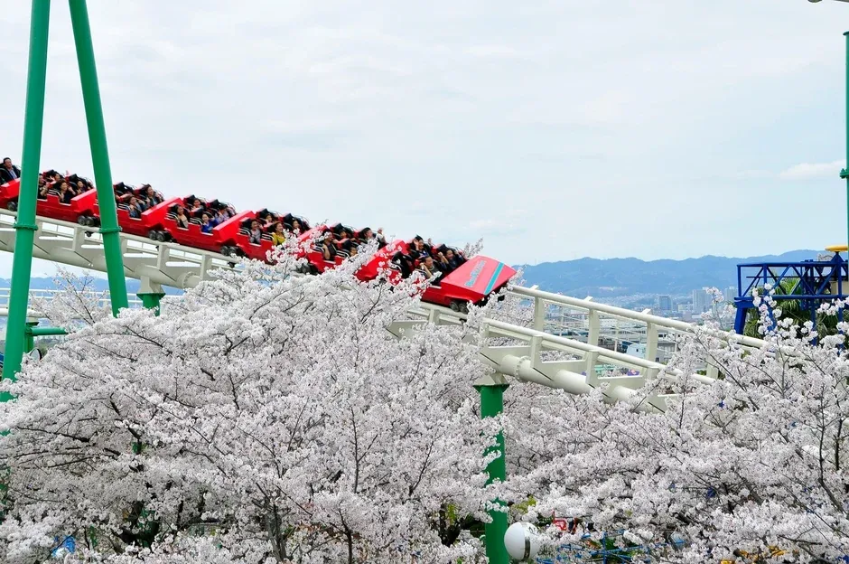 桜の中を走るジェットコースター