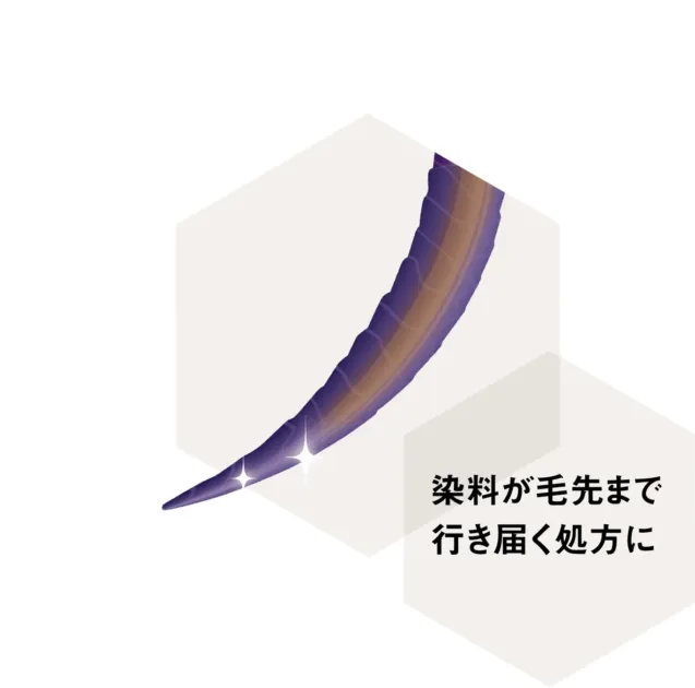 毛先まで染料が行き届く処方