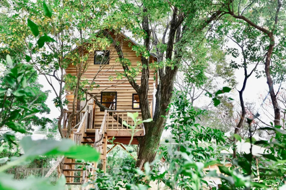 ツリーハウス外観