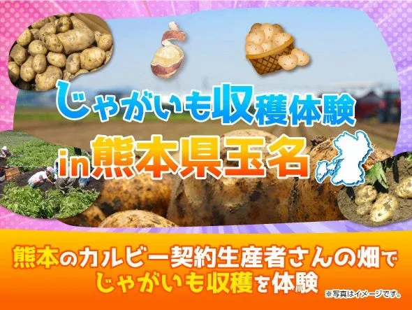 じゃがいも収穫体験 in熊本県玉名