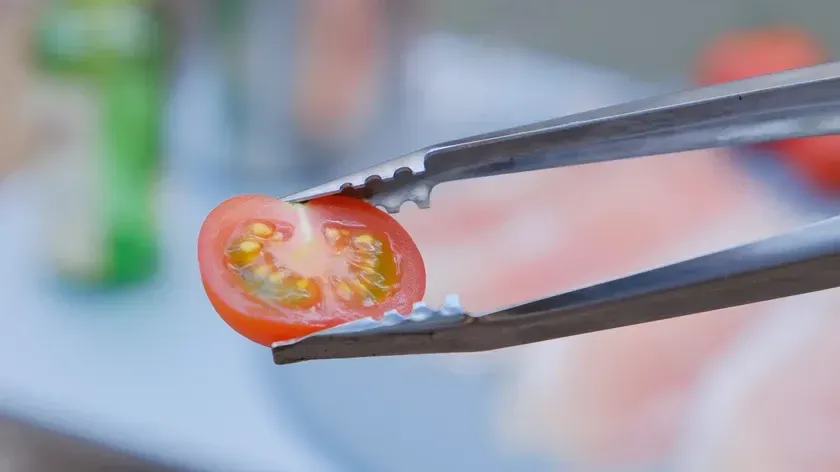 トマトを掴むトングのクローズアップ