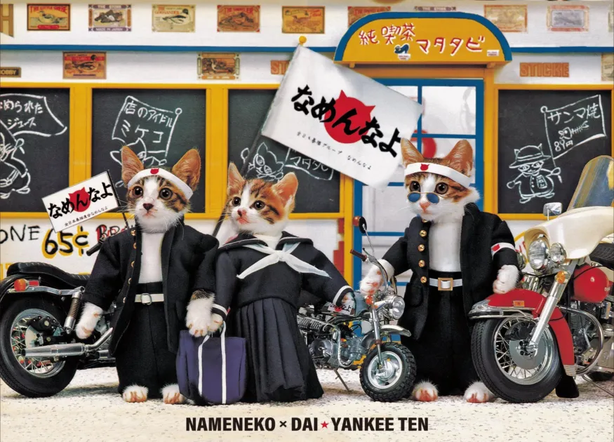 なめ猫 × 大★ヤンキー展