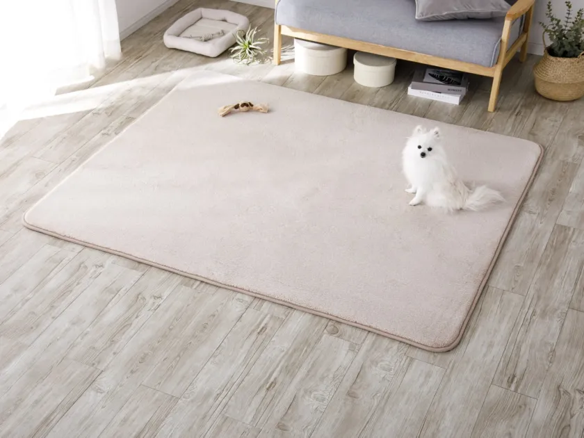 白いポメラニアンがベージュのラグの上に座っている