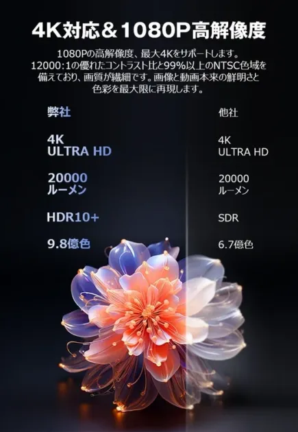 4K対応 & 1080P高解像度
