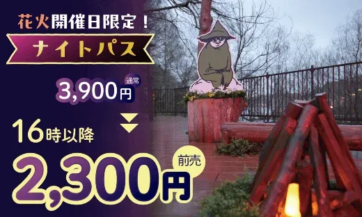 花火開催日限定のナイトパス