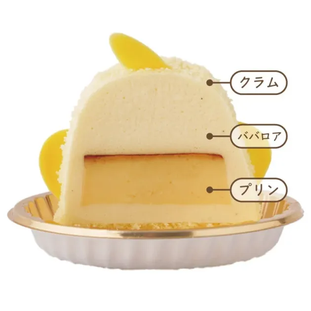 ぴよりん断面図