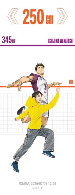 牛島若利との比較