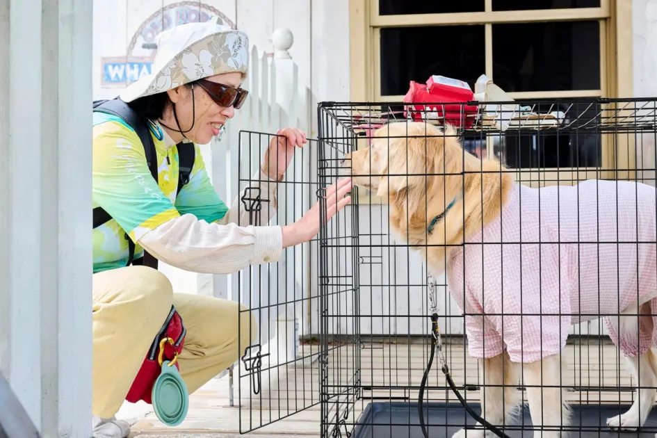 盲導犬と触れ合う女性