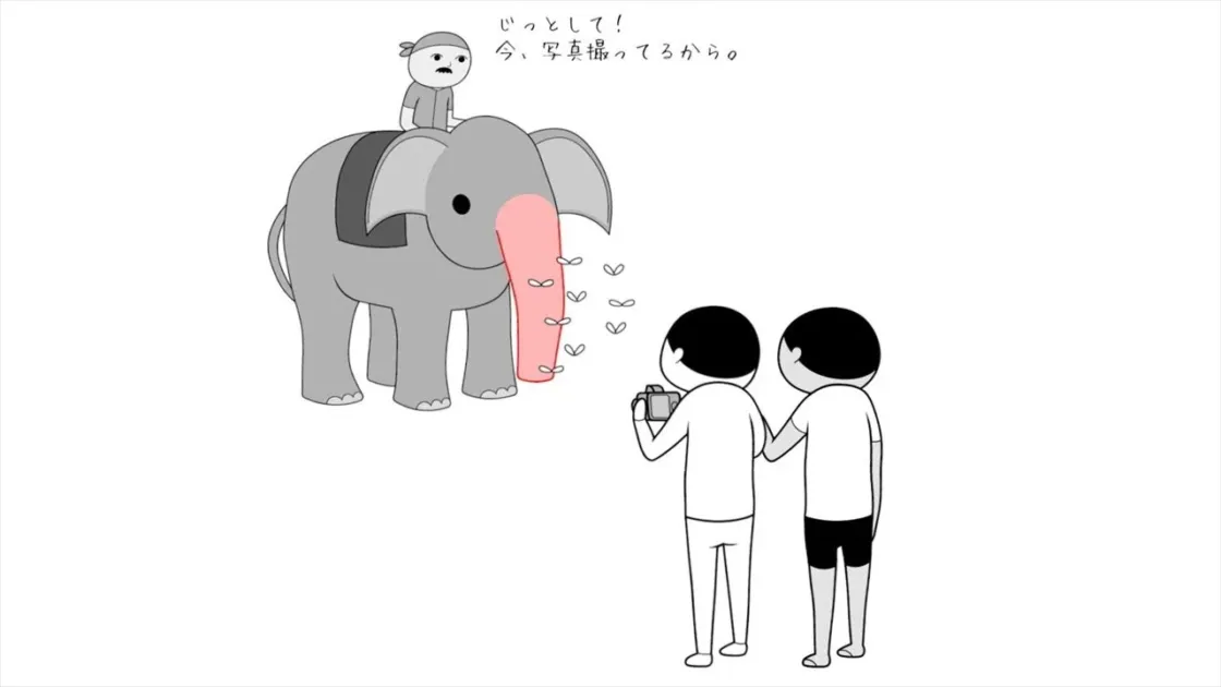 象の撮影