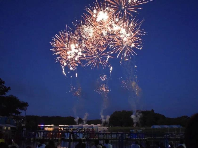 りんどう湖の花火大会