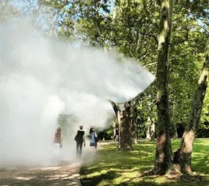公園の木々の間を歩く人々