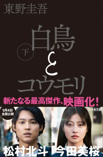 東野圭吾『白鳥とコウモリ』文庫版 下