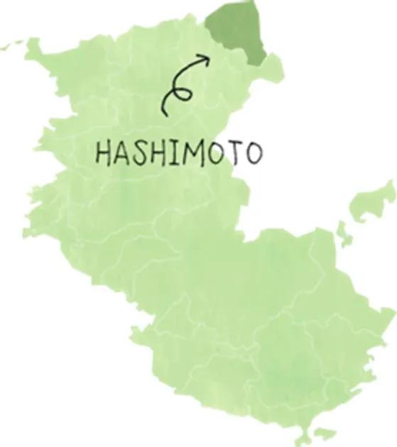 緑色の地図上に「HASHIMOTO」という地名が記され、特定の地域が矢印で示されています