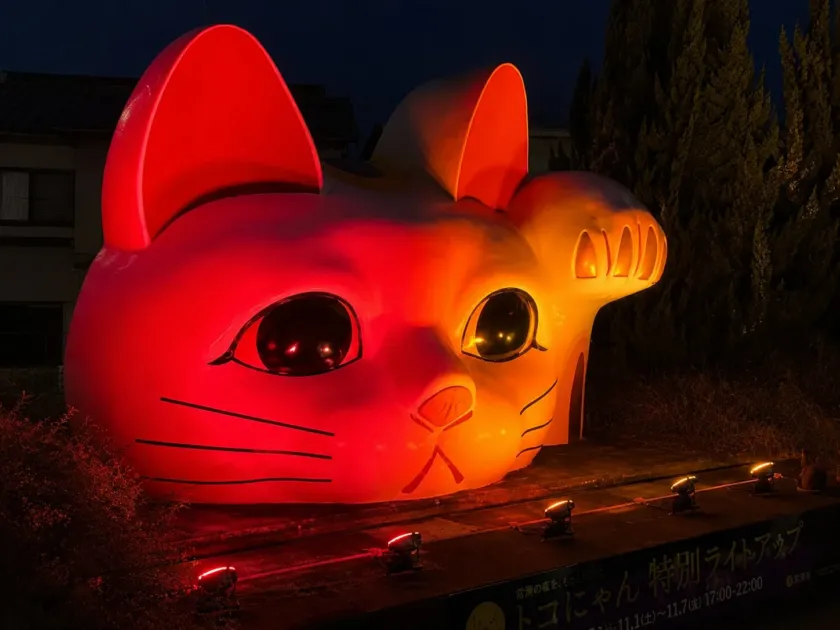 とこにゃん特別ライトアップ