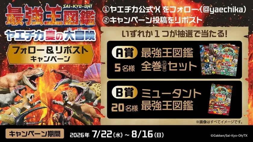 XCP画像