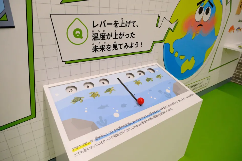 地球温暖化がウミガメの性別に与える影響を解説する展示