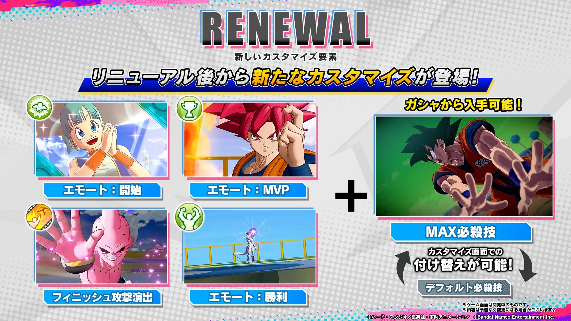 RENEWAL 新しいカスタマイズ要素 リニューアル後から新たなカスタマイズが登場！