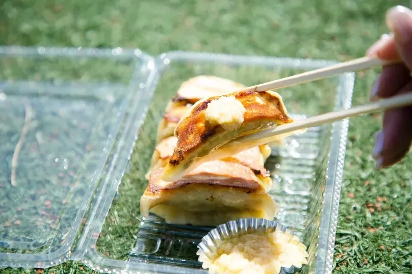 様々な餃子を食べ比べ