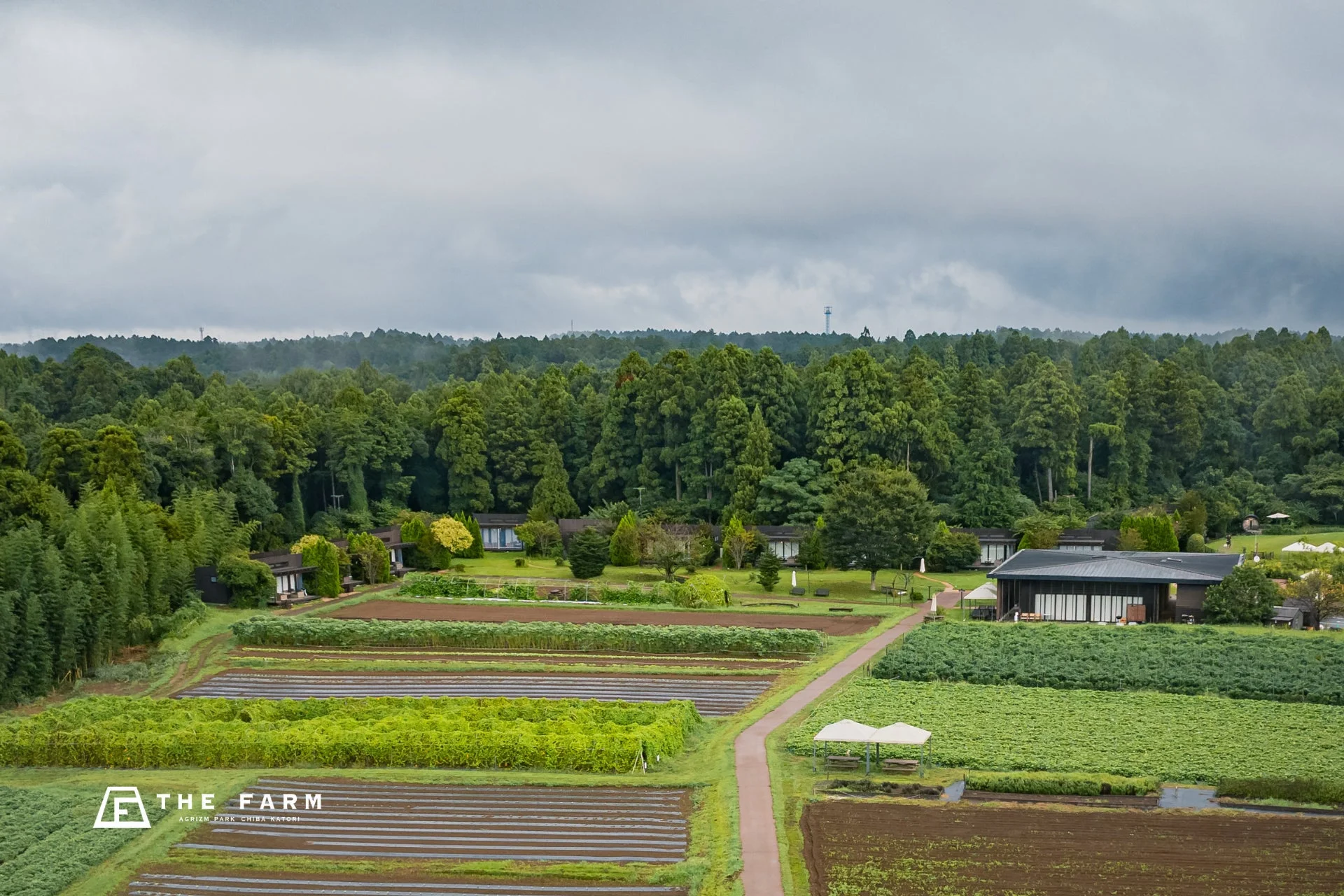 農場と森林が広がる風景
