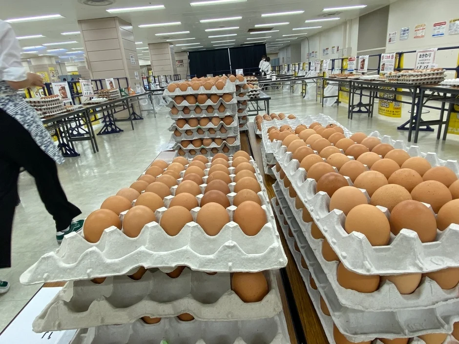大量の卵が並ぶ会場