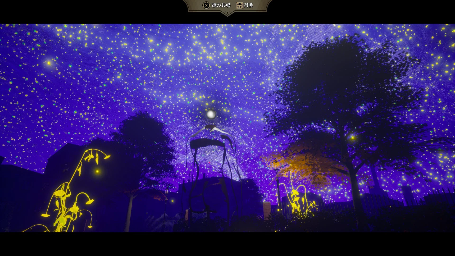 幻想的な夜景