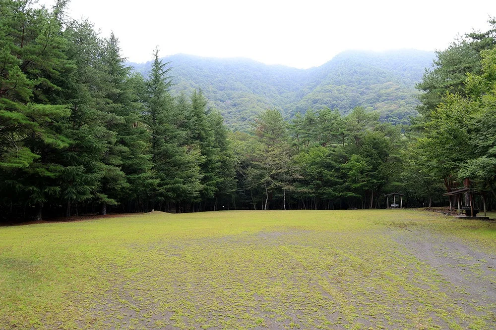 広がる森と草原のキャンプ場