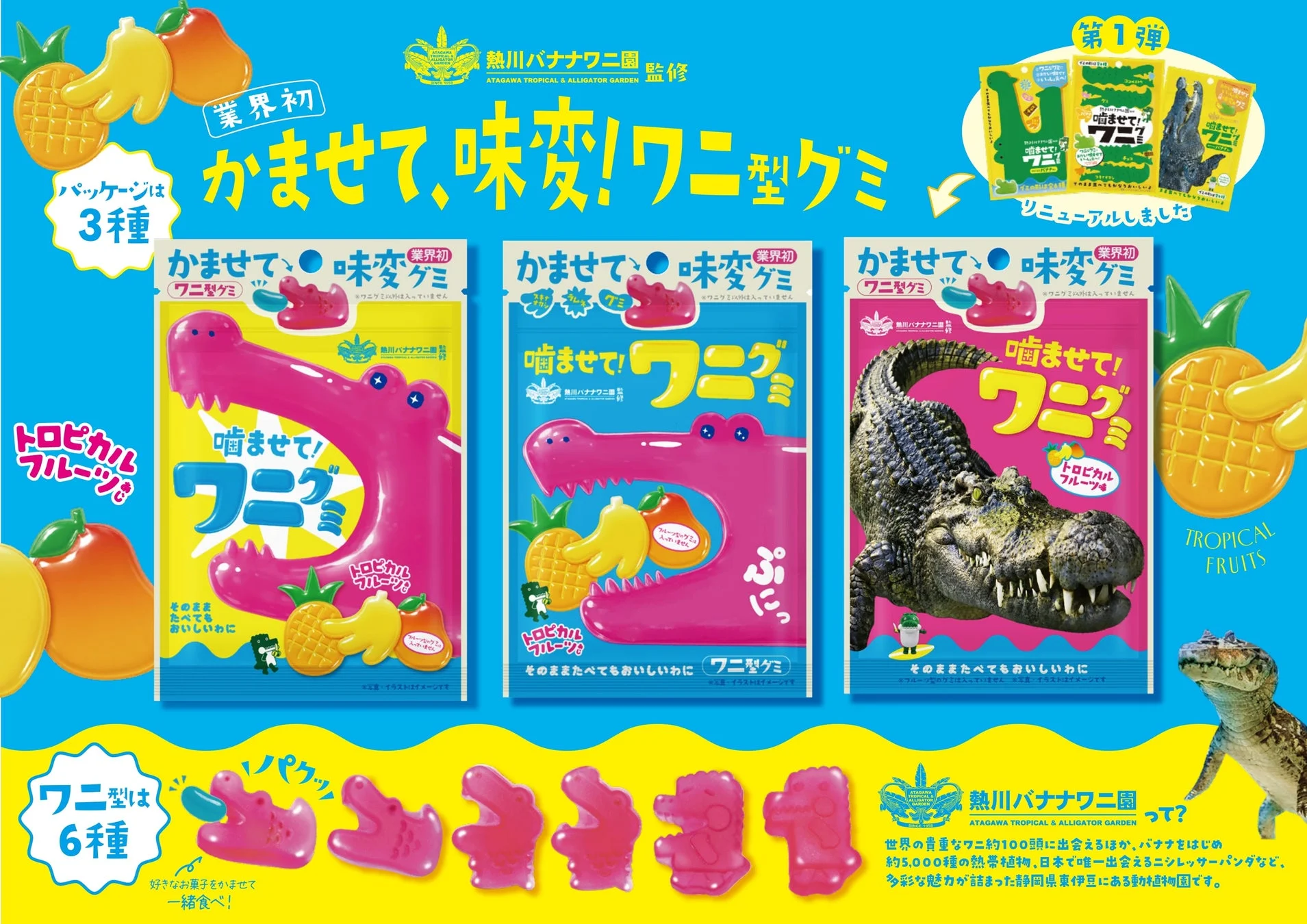 リニューアルされた「噛ませて！ワニグミ」のパッケージ