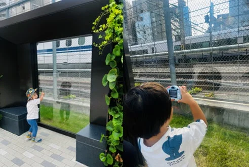 子供が電車を観察
